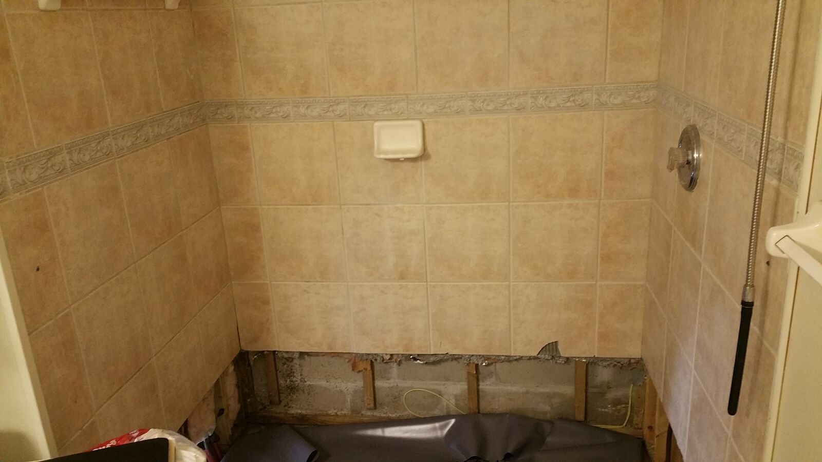 Mold Before 2 | Ally Restore + Construct